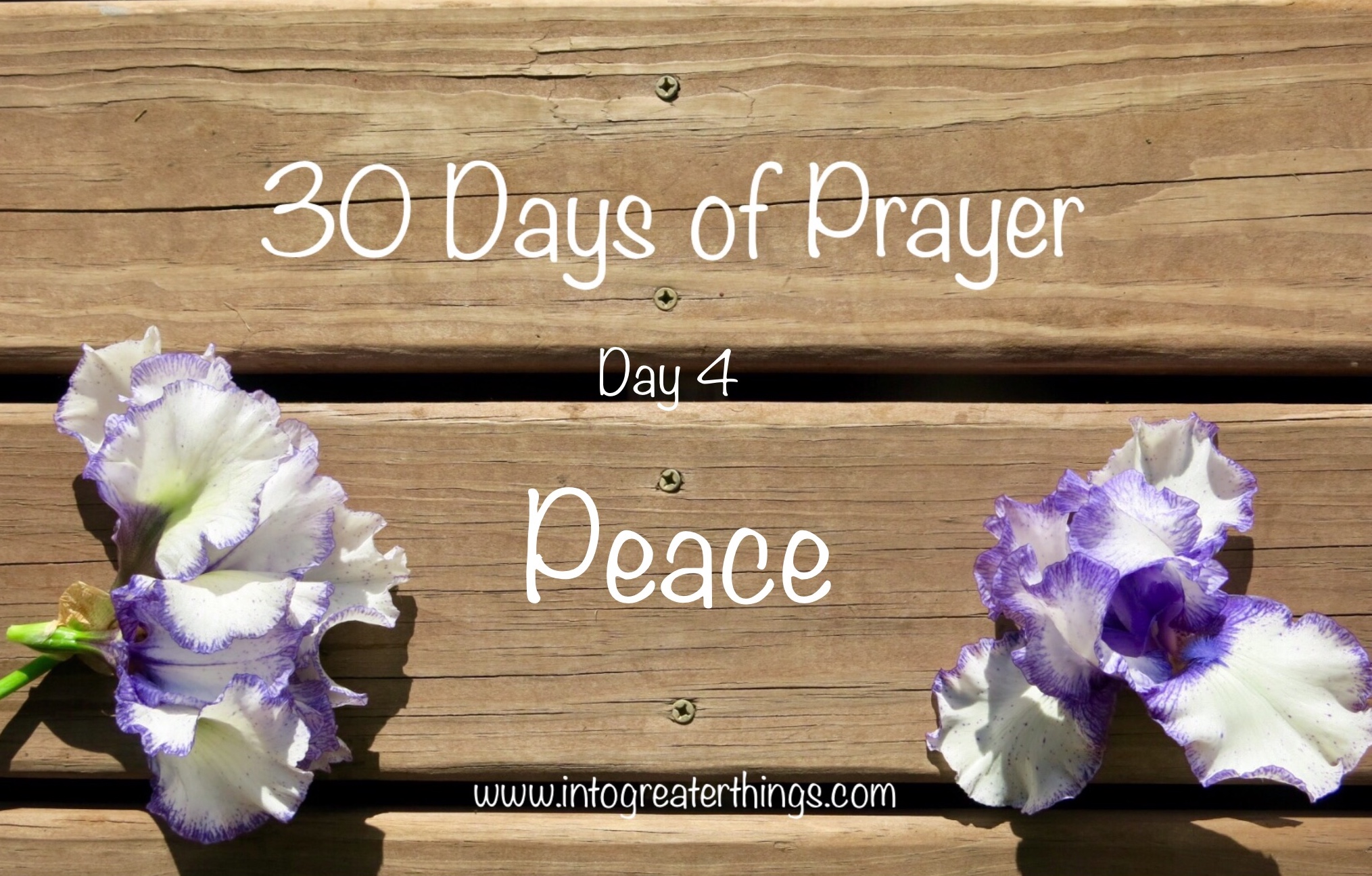 30 Days of Prayer- Day 4-Peace